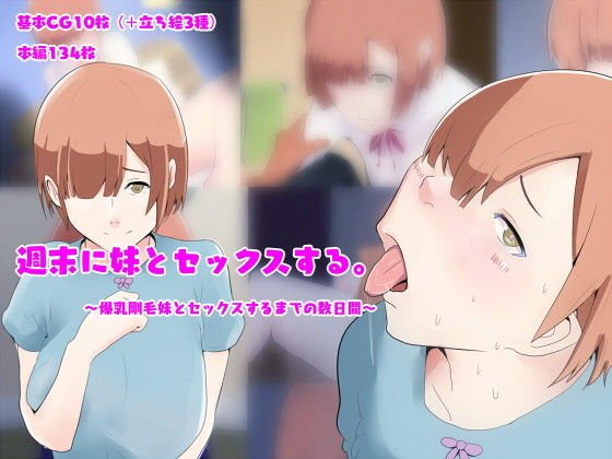 週末に妹とセックスする 〜爆乳剛毛妹とセックスするまでの数日間〜 メイン画像