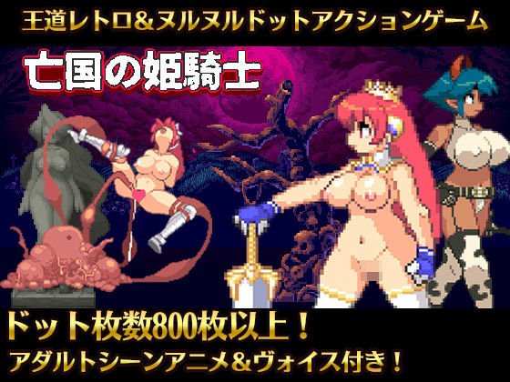 亡国の姫騎士エリス メイン画像