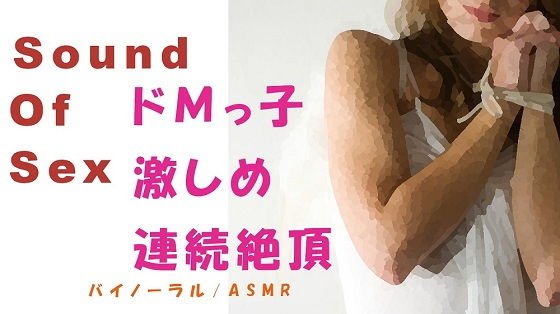 Sound Of Sex 出会い系でつかまえたドMっ娘にバイノーラルマイクをつけて激しめ調教SEX！！ メイン画像