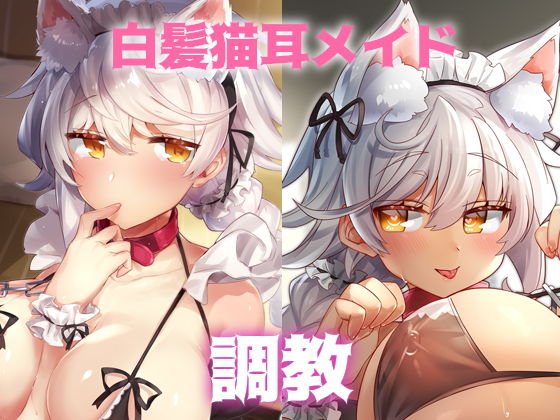 白髪猫耳メイドセット メイン画像