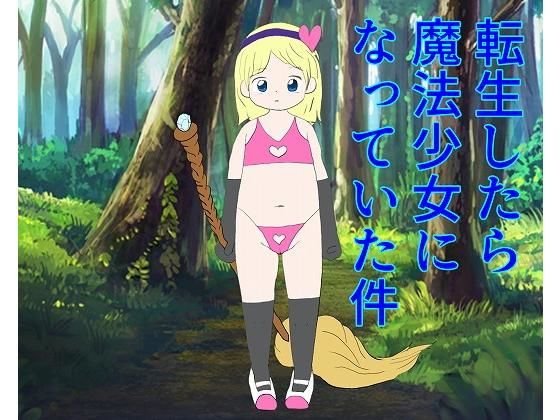 転生したら魔法少女になっていた件 メイン画像