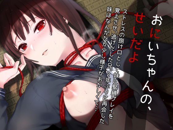 おにいちゃんの、せいだよ メイン画像