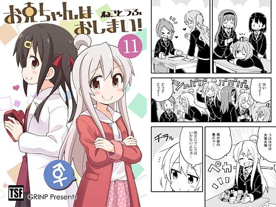 お兄ちゃんはおしまい！11 メイン画像