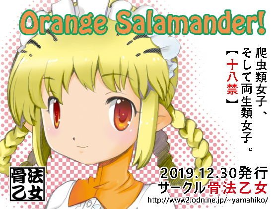 Orange Salamander！ メイン画像