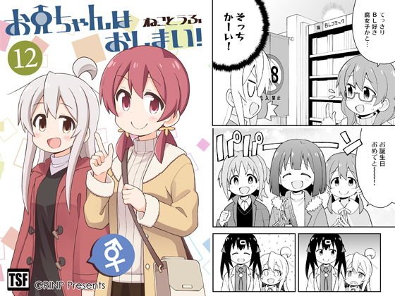 お兄ちゃんはおしまい！12 メイン画像