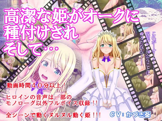 高潔な姫がオークに種付けされそして… メイン画像