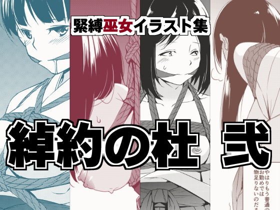 綽約の杜 弐 メイン画像