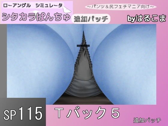 SP115 Tバック5追加パッチ メイン画像