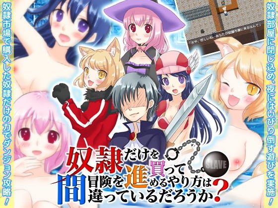 奴●だけを買って冒険を進めるやり方は間違っているだろうか？ メイン画像