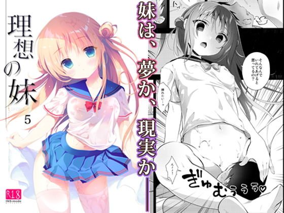 理想の妹5 メイン画像
