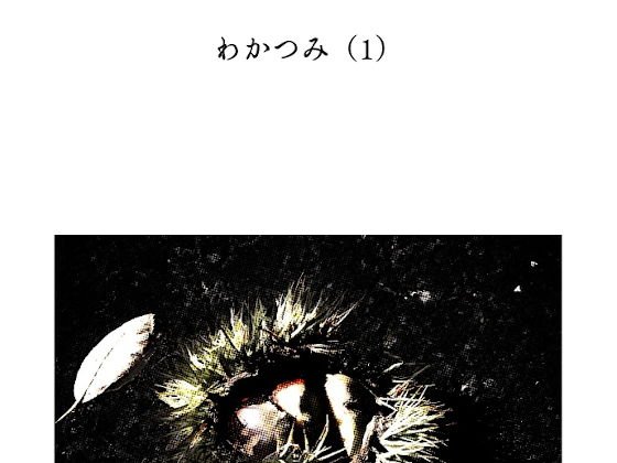 わかつみ メイン画像