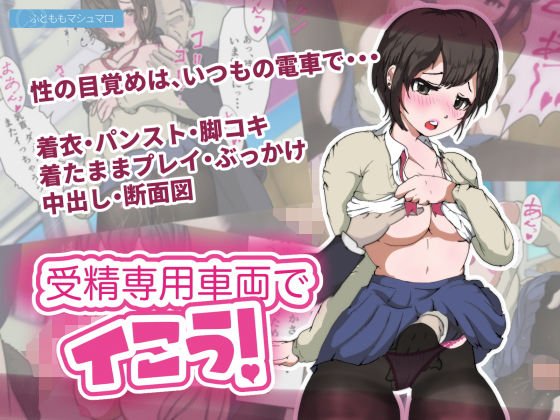 受精専用車両でイこう! メイン画像