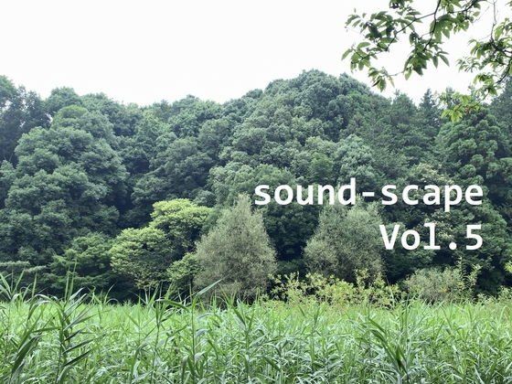 Environmental Sound-Yokohama / Shiki no Mori Park-Summer/Seseragi 01 # 2 (Binaural) メイン画像