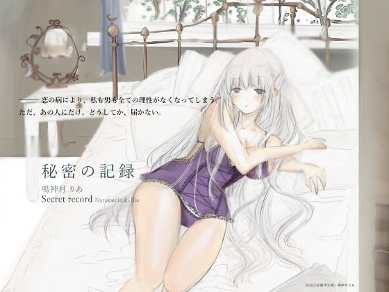 秘密の記録 メイン画像