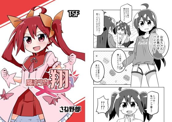 魔法少女 翔 メイン画像