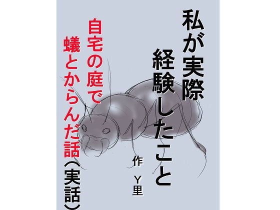 私が実際経験したこと 自宅の庭で蟻とからんだ話 メイン画像