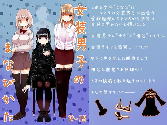 女装男子のまなびかた メイン画像