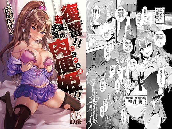 復讐!!転落学園の肉便姫!! メイン画像
