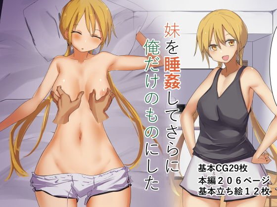 妹を睡姦してさらに俺だけのものにした メイン画像
