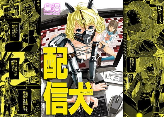 配信犬 メイン画像