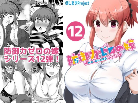 防御力ゼロの嫁12 メイン画像