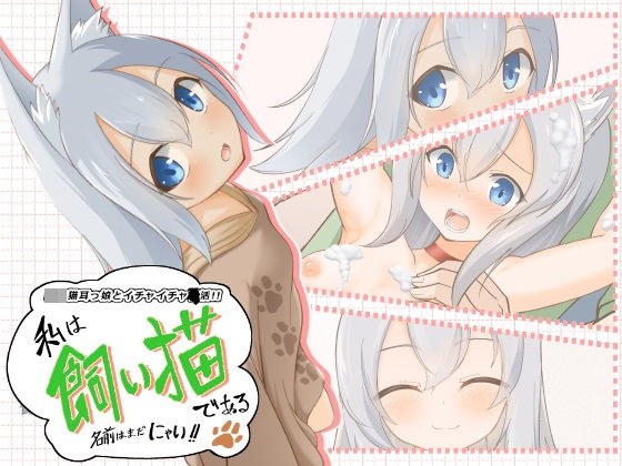 私は飼い猫である!名前はまだにゃい! メイン画像