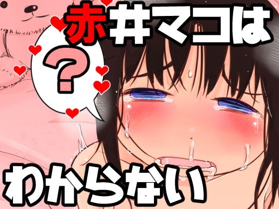 赤井マコはわからない メイン画像