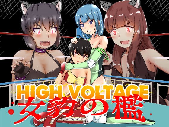 High Voltage 女豹の檻 メイン画像