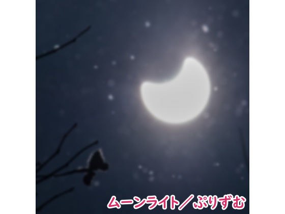 【シングル】ムーンライト/ぷりずむ メイン画像
