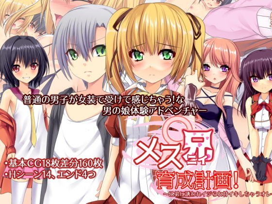 メス兄育成計画！〜乙弟に誘われイジられ甘イキしちゃうオレ〜 メイン画像