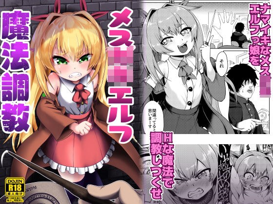 メス○○○エルフ魔法調教 メイン画像