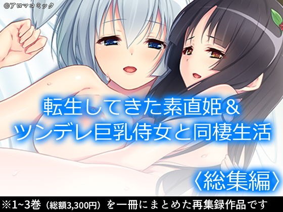 転生してきた素直姫＆ツンデレ巨乳侍女と同棲生活 ＜総集編＞ メイン画像