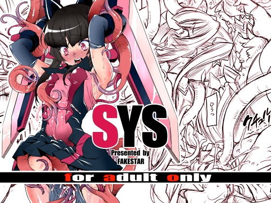 SYS メイン画像