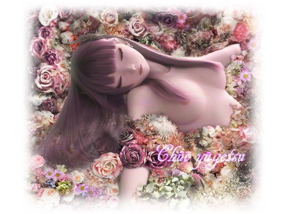 MRサクバス 動画オプション メイン画像