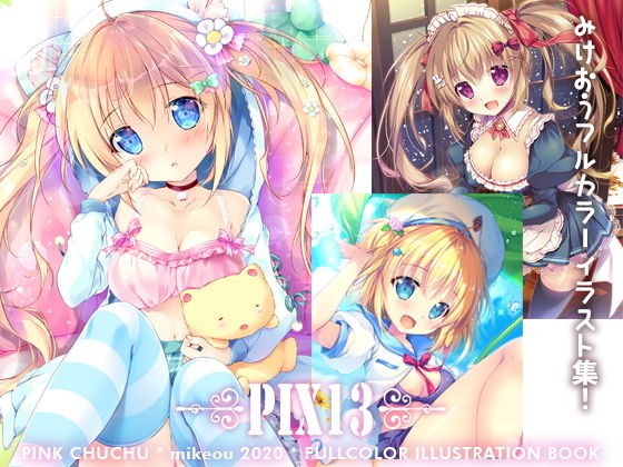 PIX13 メイン画像