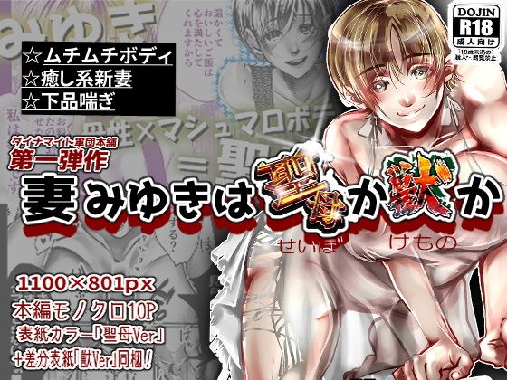 妻みゆきは聖母か獣か メイン画像
