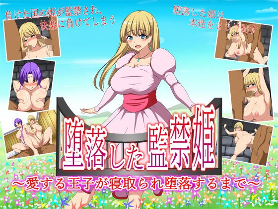 堕落した監禁姫〜愛する王子が寝取られ堕落するまで〜 メイン画像