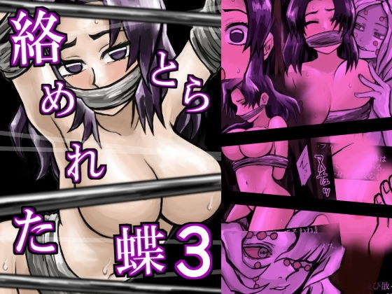 絡めとられた蝶3 メイン画像