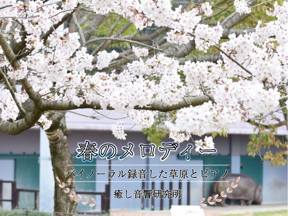 春のメロディー バイノーラル録音した草原とピアノ メイン画像