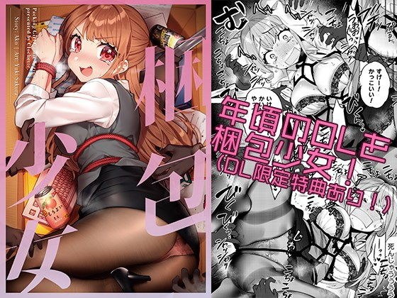梱包少女6 メイン画像