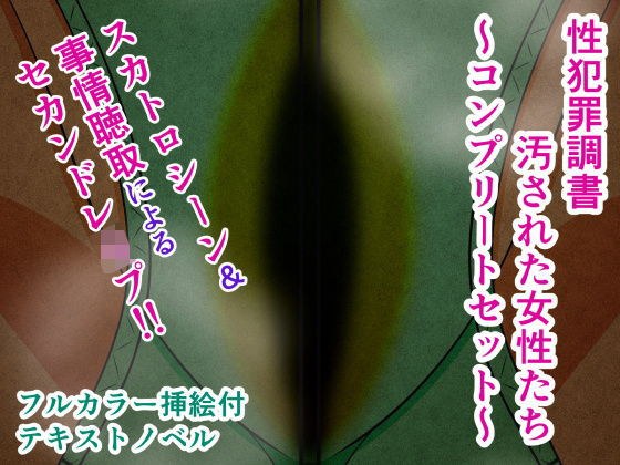 性犯罪調書 汚された女性たち 〜コンプリートセット〜 メイン画像