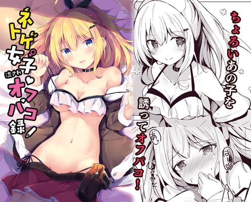 ネトゲ女子流されオフパコ録 メイン画像