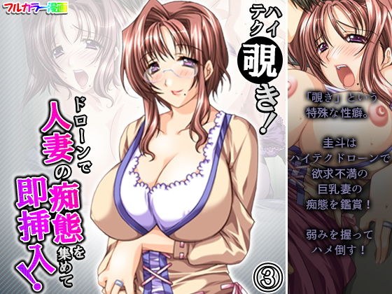ハイテク覗き！ドローンで人妻の痴態を集めて即挿入！ 3巻 メイン画像