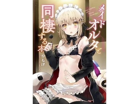 メイドオルタと同棲する本 メイン画像