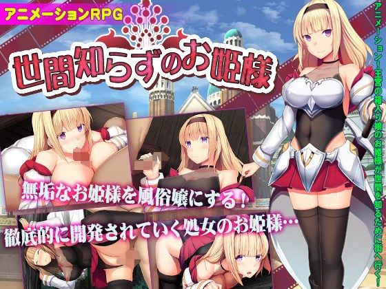 世間知らずのお姫様 メイン画像