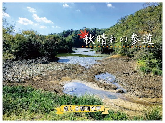 秋晴れの参道 バイノーラル録音によるバーチャル参拝 メイン画像
