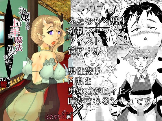 お嬢さまは上手に魔法が使えない！ メイン画像