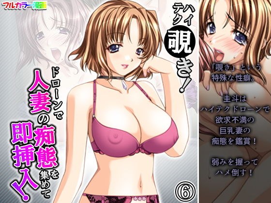 ハイテク覗き！ドローンで人妻の痴態を集めて即挿入！ 6巻 メイン画像