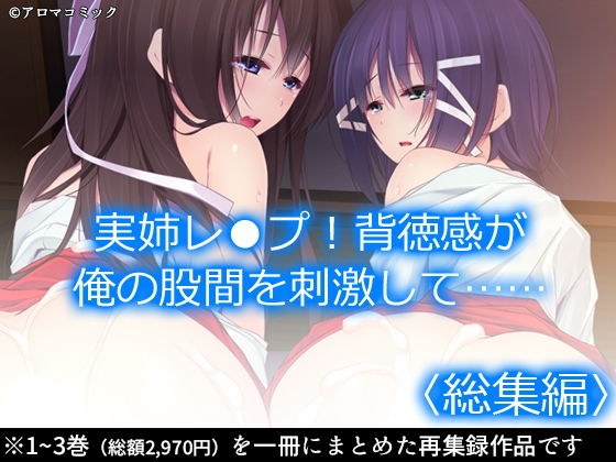 実姉レ●プ！背徳感が俺の股間を刺激して…… ＜総集編＞ メイン画像