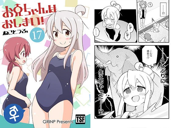 お兄ちゃんはおしまい！17 メイン画像